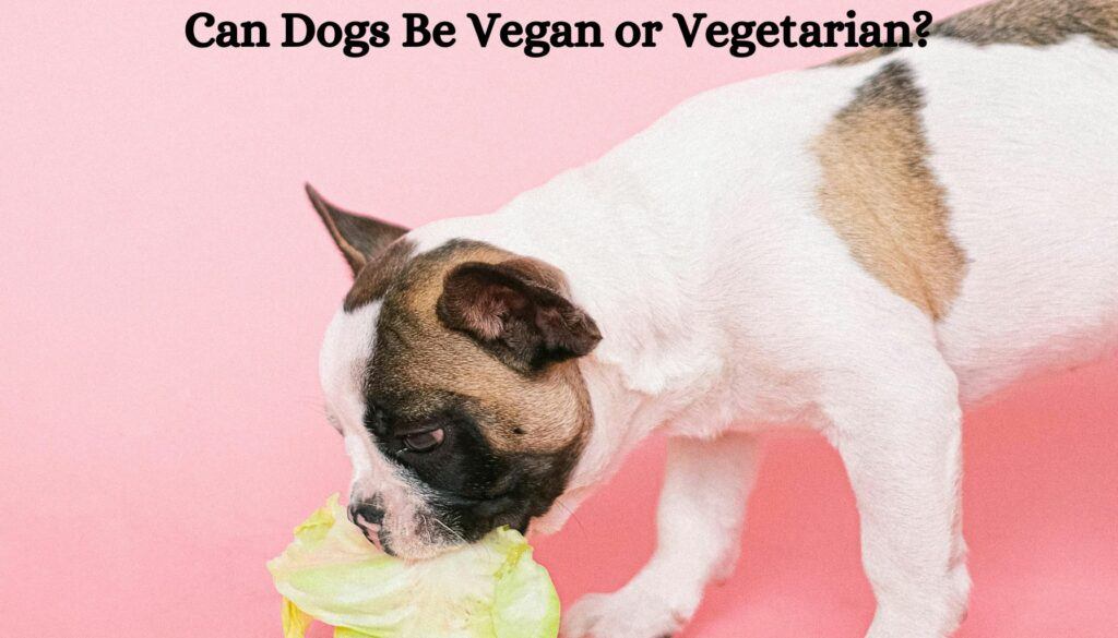 Can Dogs Be Vegan or Vegetarian?