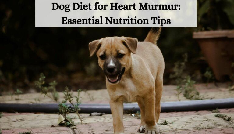 Dog Diet for Heart Murmur: Essential Nutrition Tips